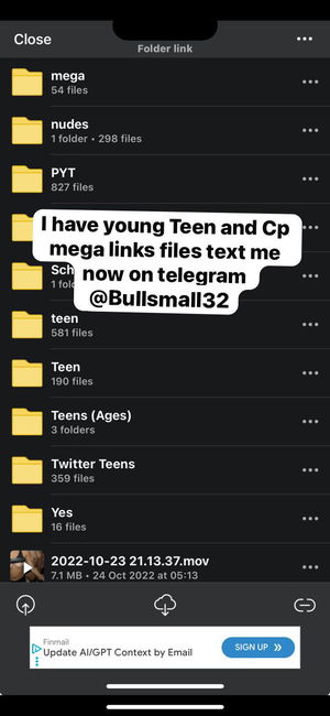 cepeled409's Profile Photo