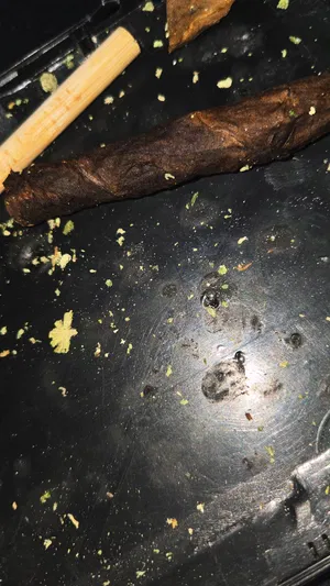 fvzvyo's Profile Photo