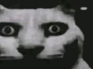 wly1727ali's Profile Photo