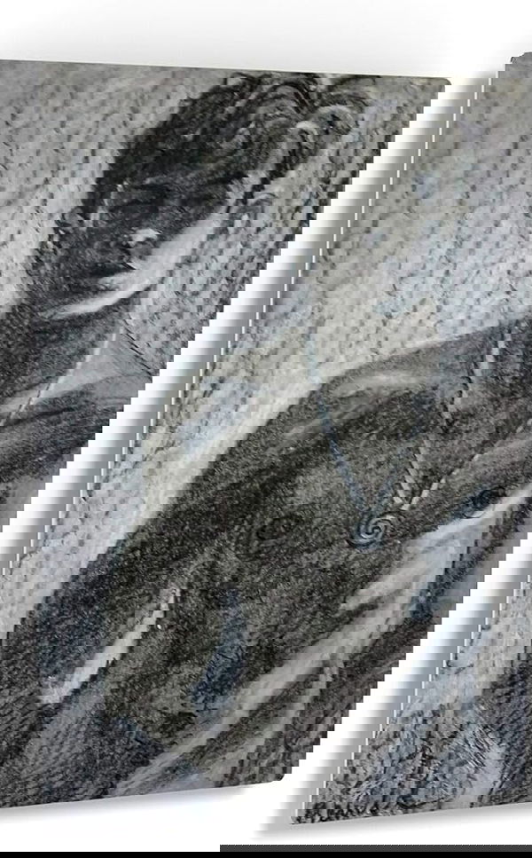 MilesPerHour, 18 years old from United States