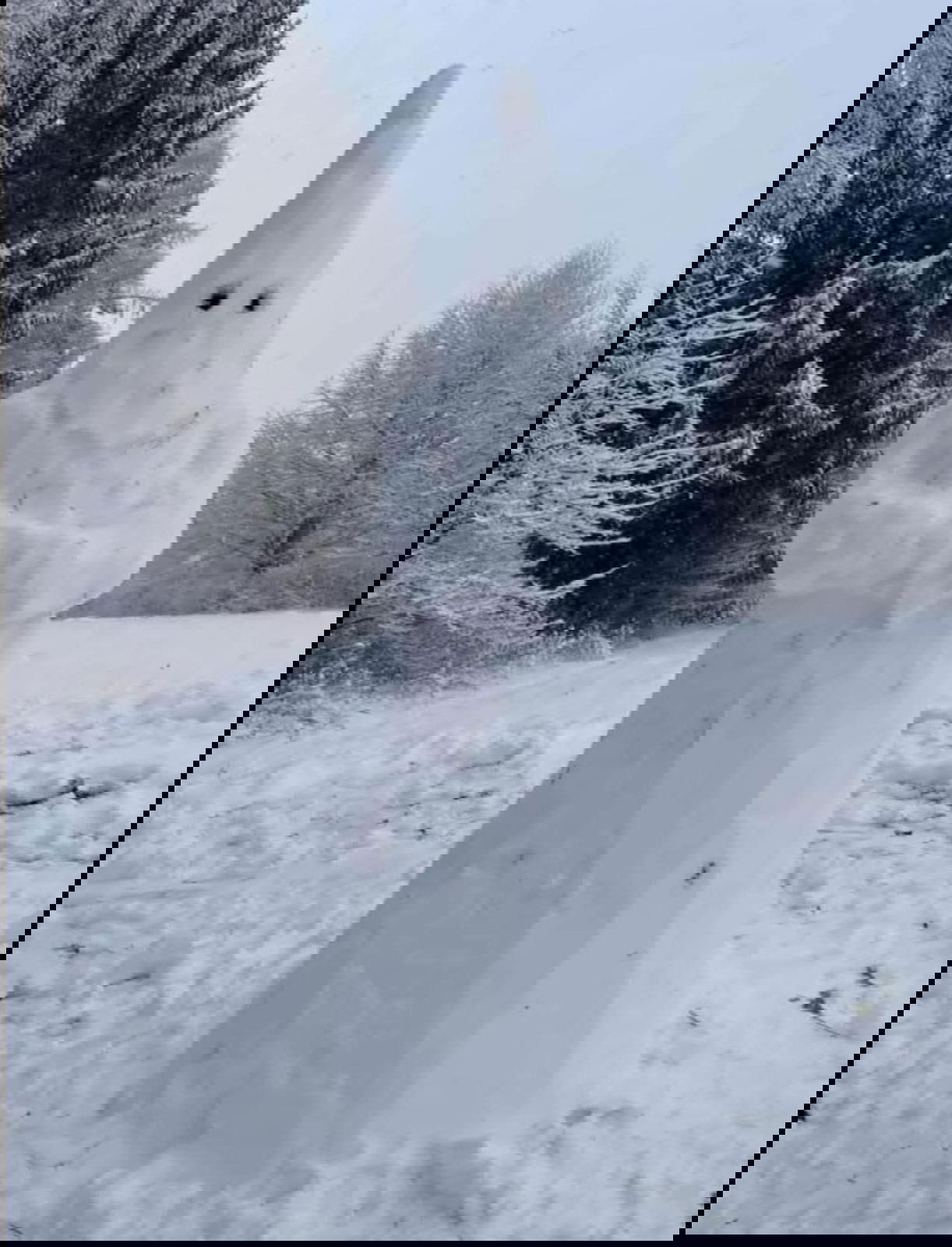 Deejays's Cover Photo