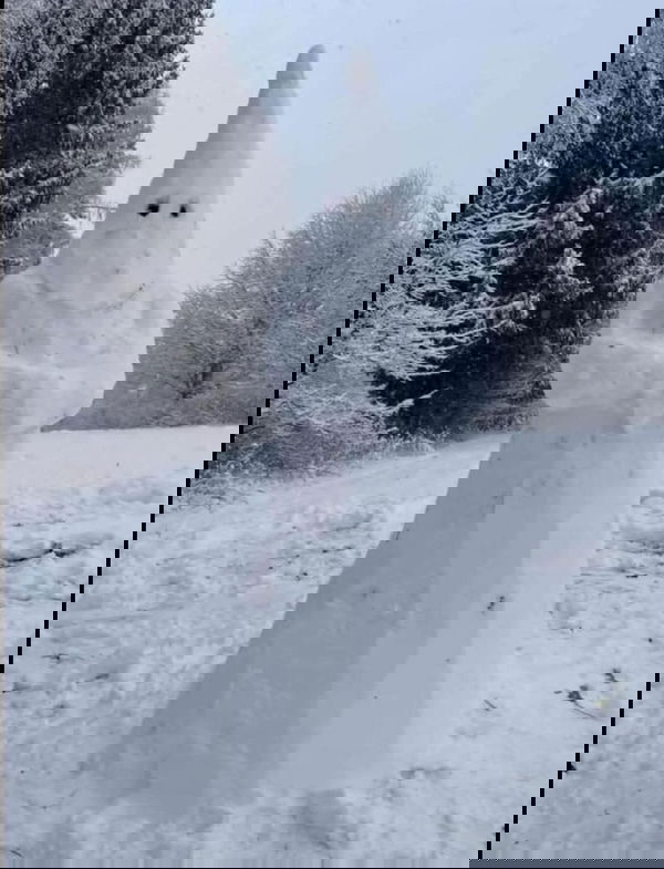 Deejays, 37 years old from United Kingdom