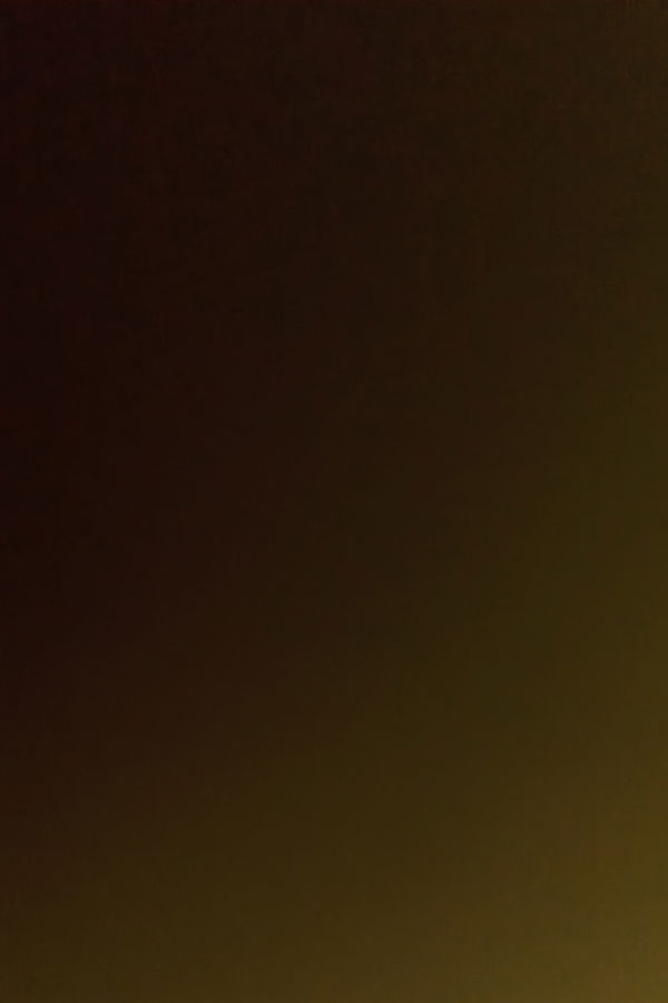 danielttodorov, 25 years old from United States