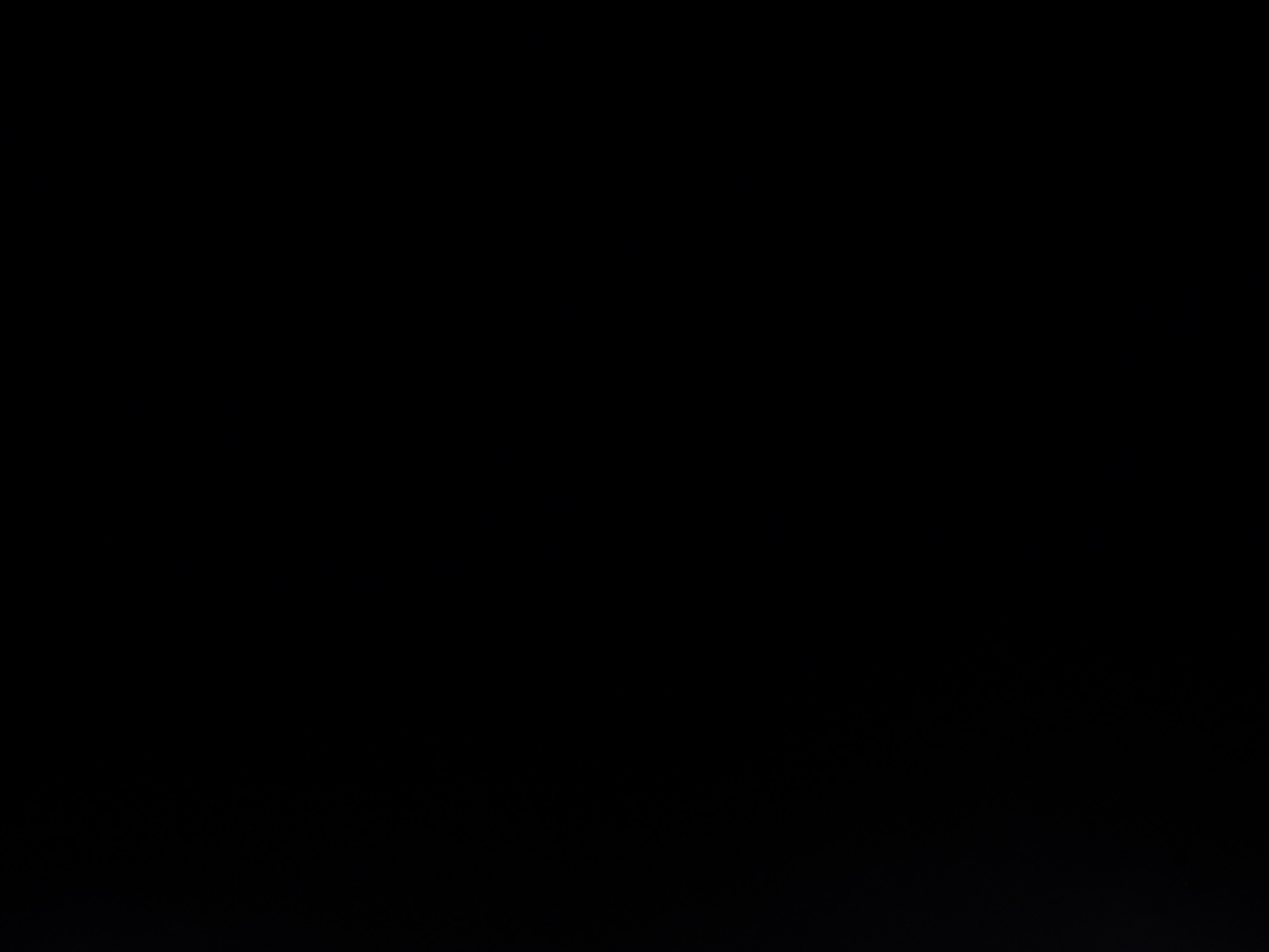 poloralph's Profile Photo