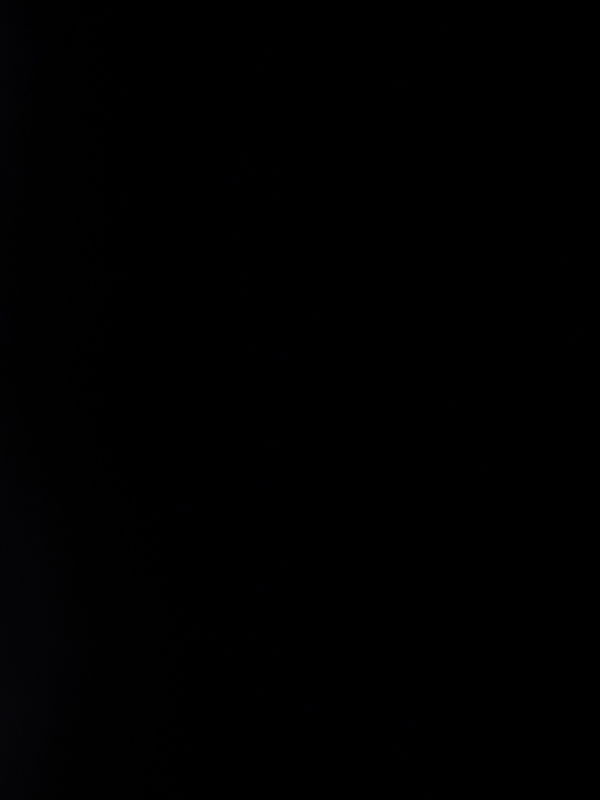 poloralph, 19 years old from United States