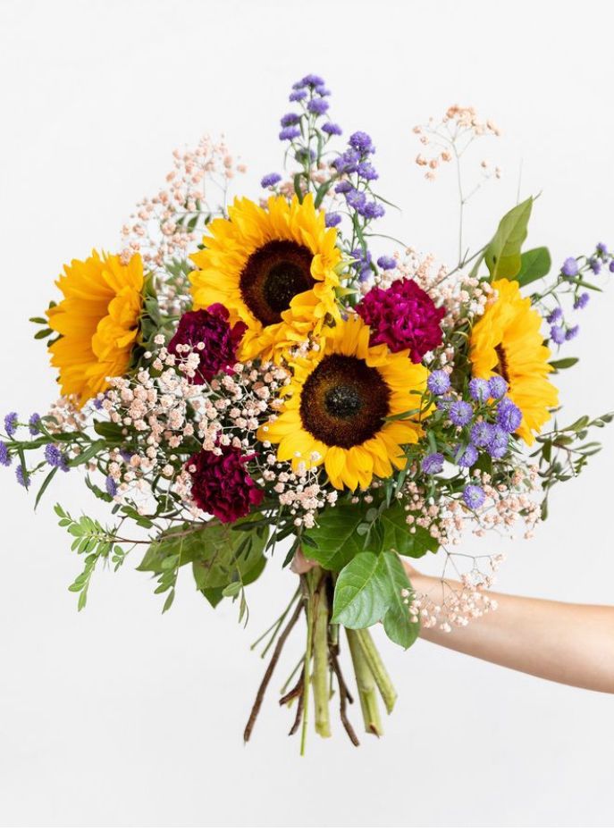 juanrodrgzparis's Cover Photo