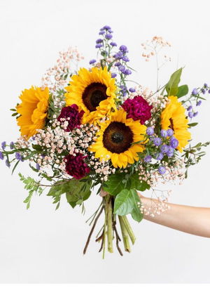 juanrodrgzparis's Profile Photo