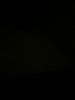 alex7873's Profile Photo