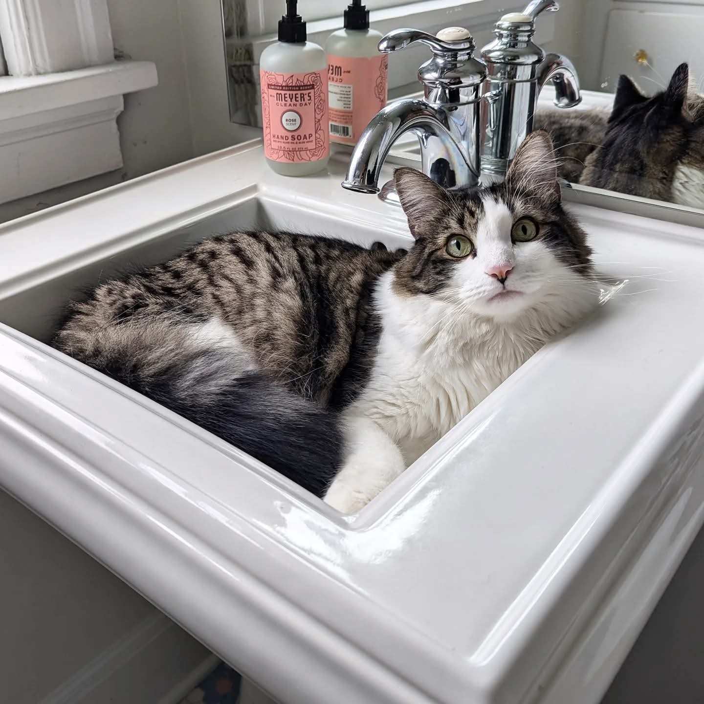 Laya_21's Profile Photo