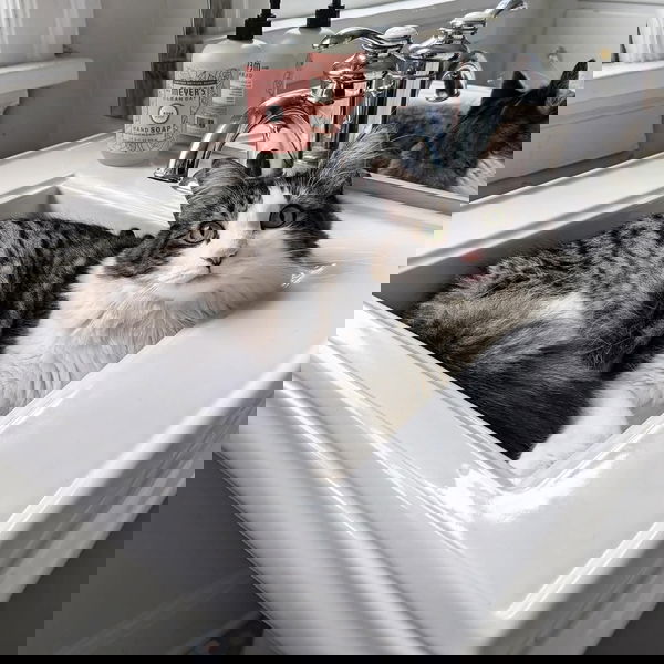 Laya_21, 21 years old from United States