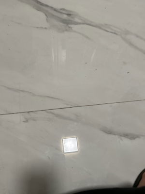 sigmagooner6745's Profile Photo