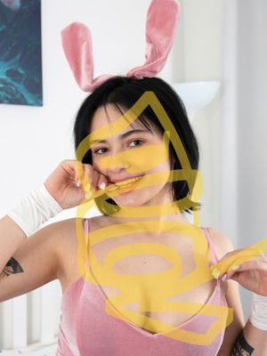 taced58895's Profile Photo