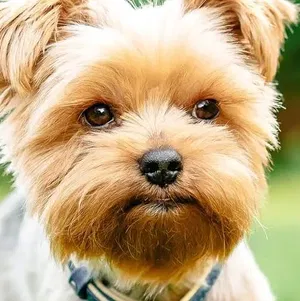 Lane's Profile Photo