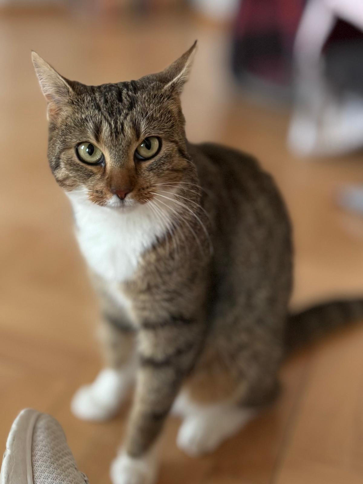 hessalexander223's Cover Photo