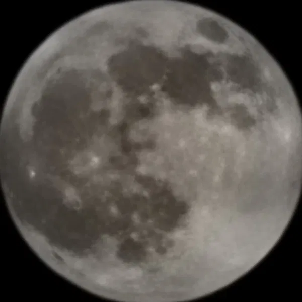 sladdyx18, 18 years old from United States