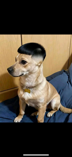 chriswer77's Profile Photo