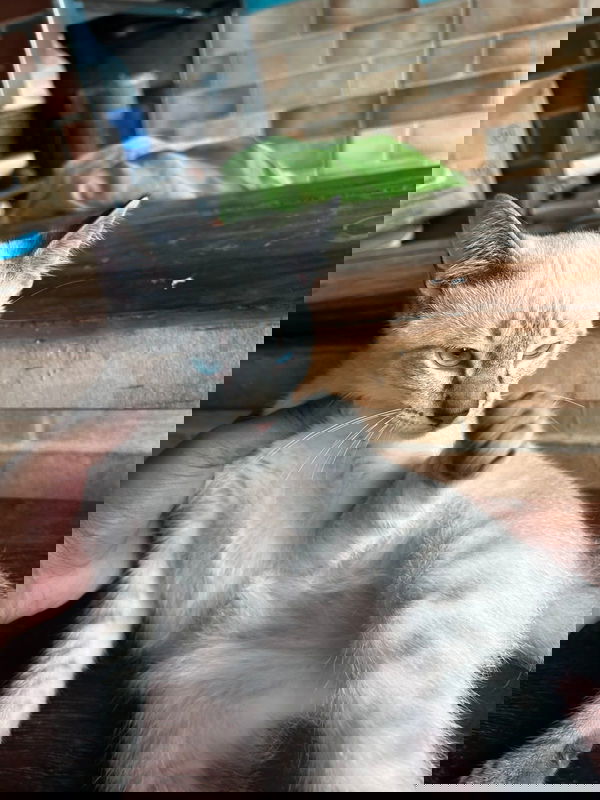 Yuta, 19 years old from Argentina