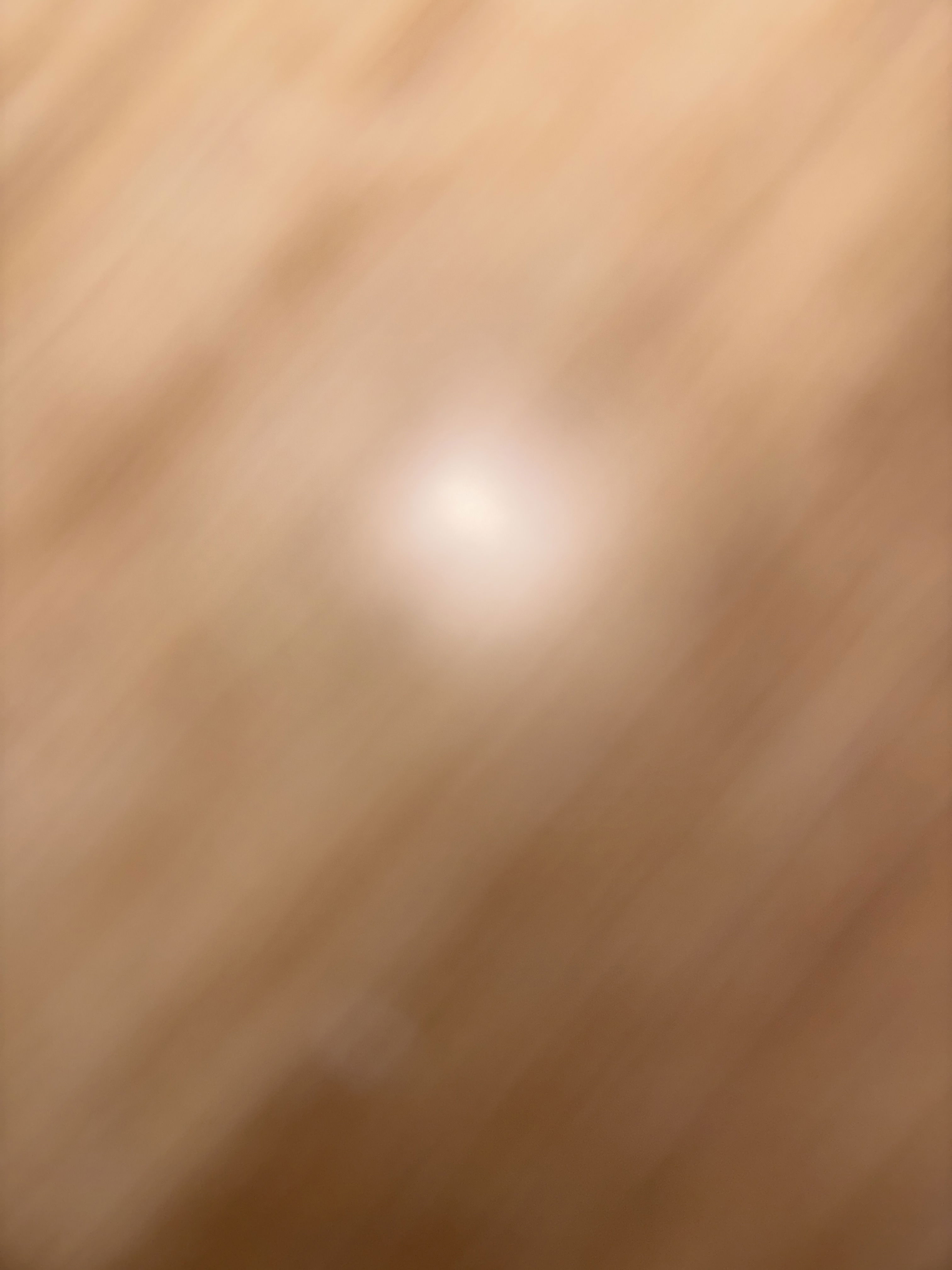 Peti's Profile Photo