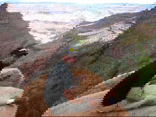 JoeCool45, 45 years old from United States