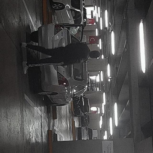 just_shiro's Cover Photo