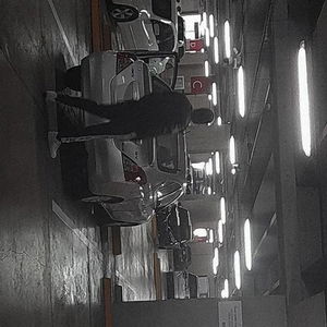 just_shiro's Profile Photo