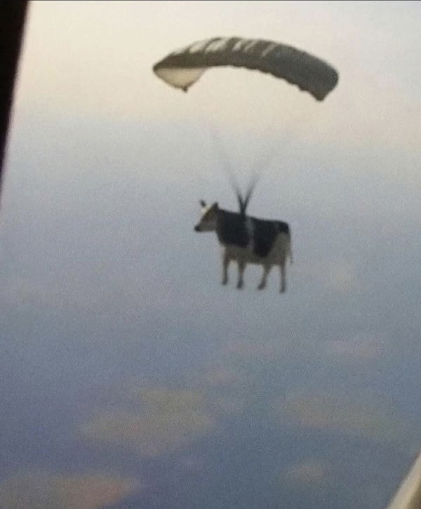 fantomdubz, 27 years old from United States