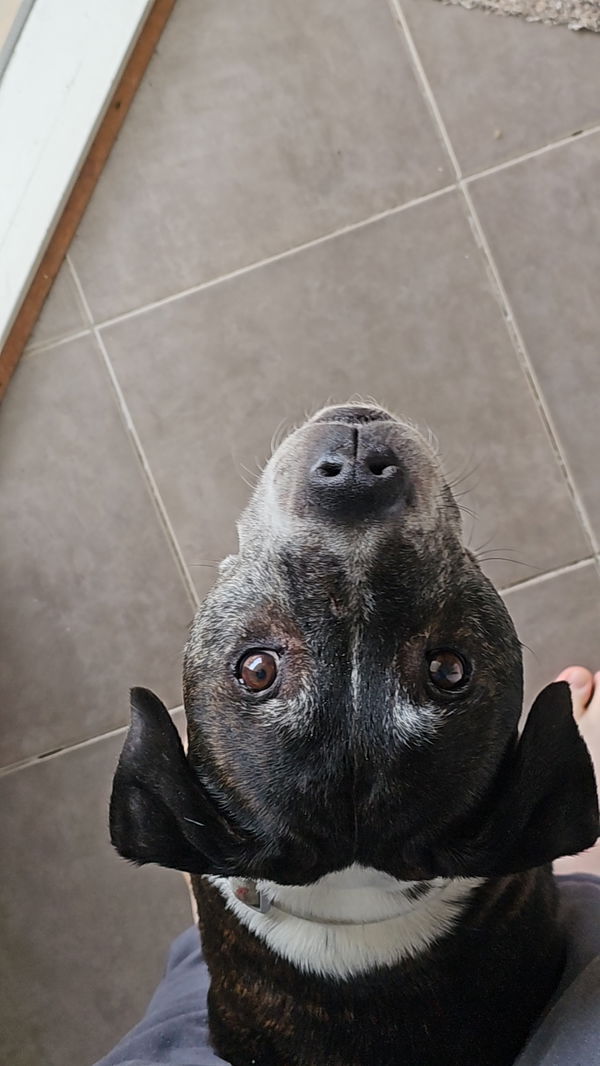 tempest, 20 years old from Australia