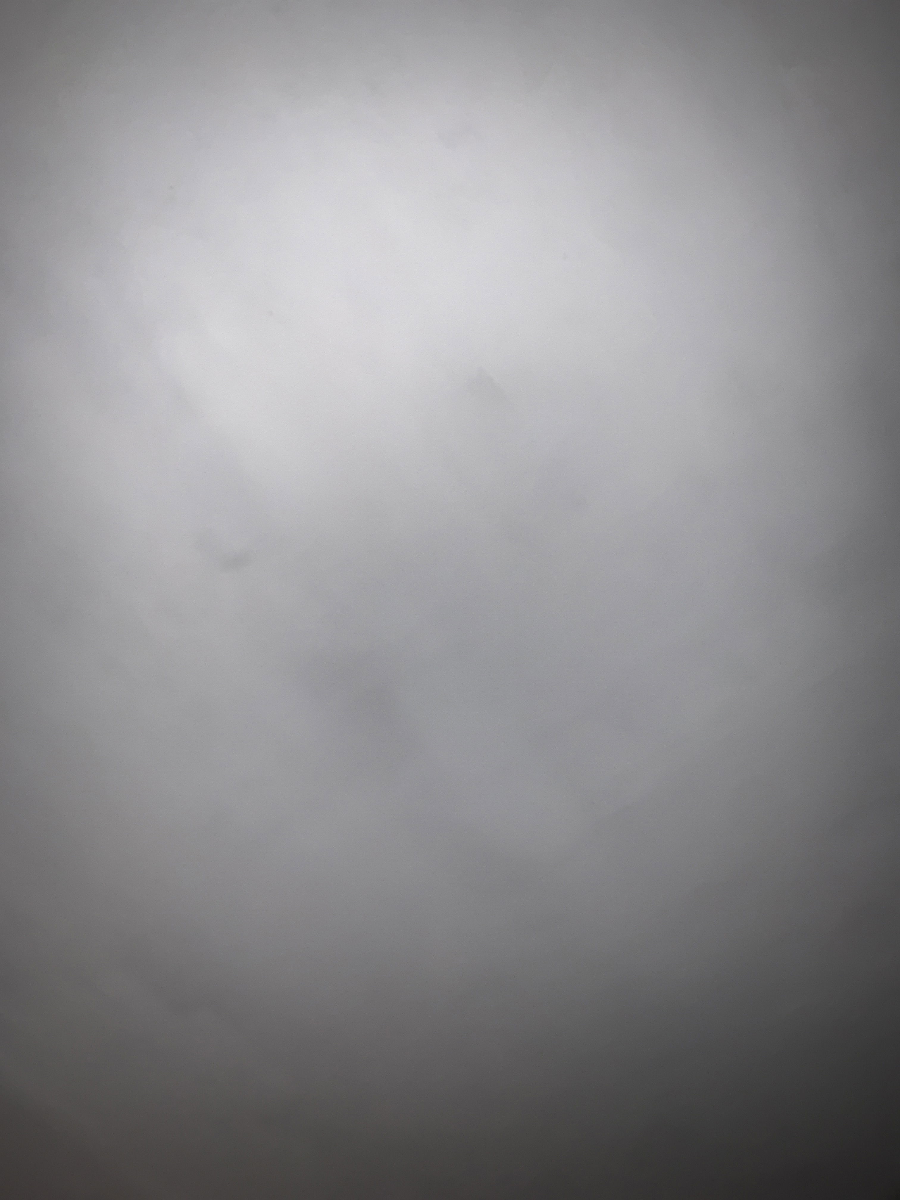 tazokekelia00's Profile Photo