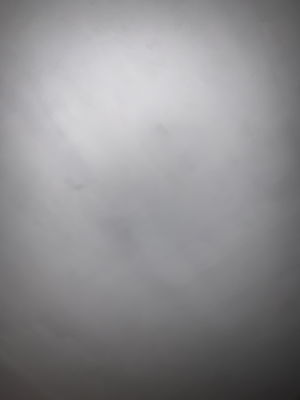 tazokekelia00's Profile Photo