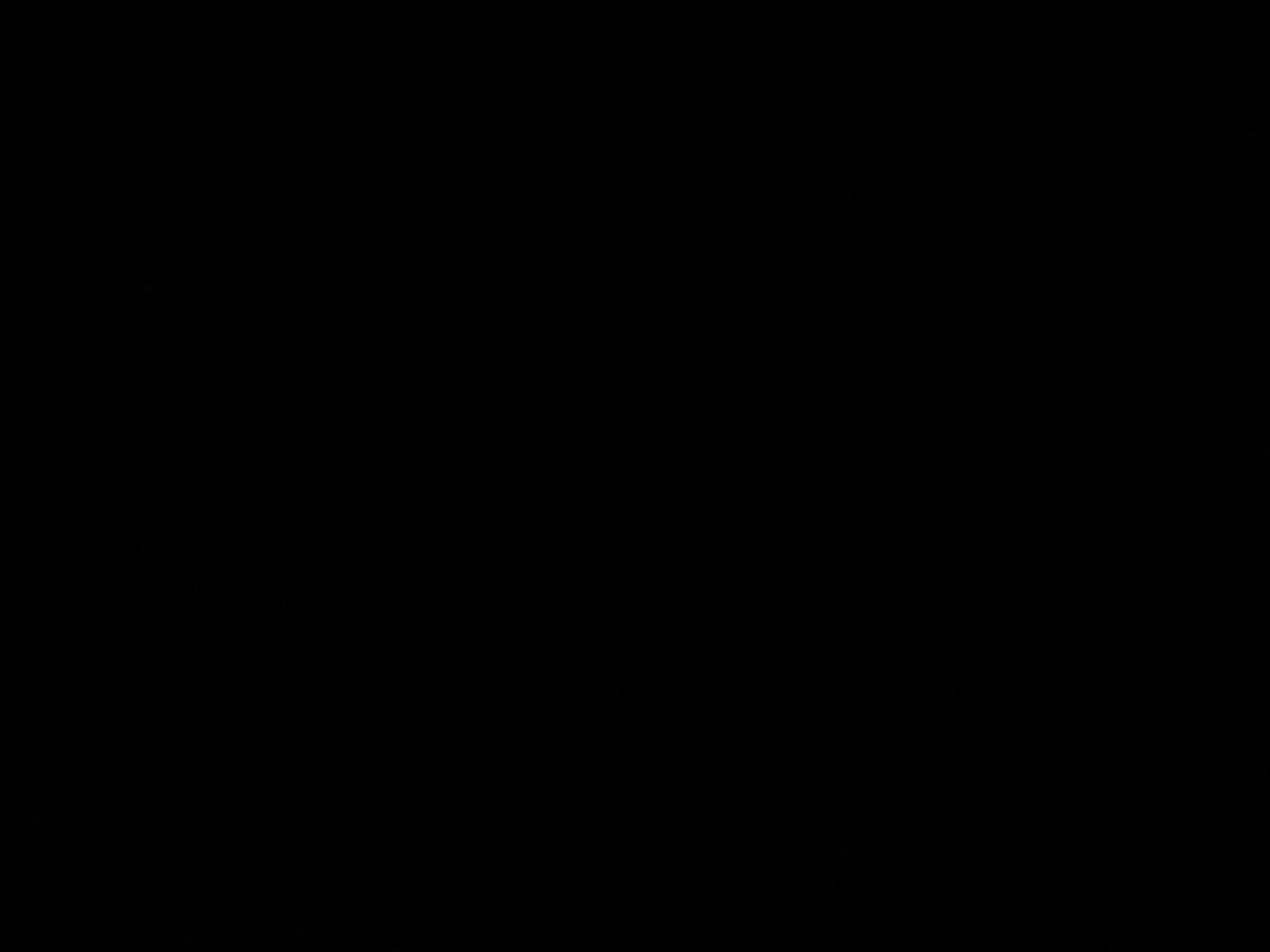 mikecox6741's Profile Photo