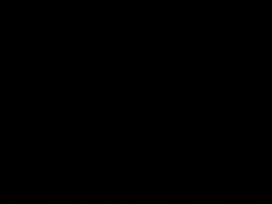 mikecox6741's Profile Photo