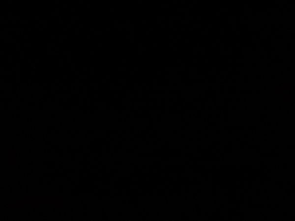 mikecox6741, 18 years old from United States