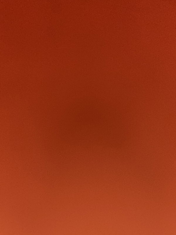 mandersdani, 22 years old from Netherlands