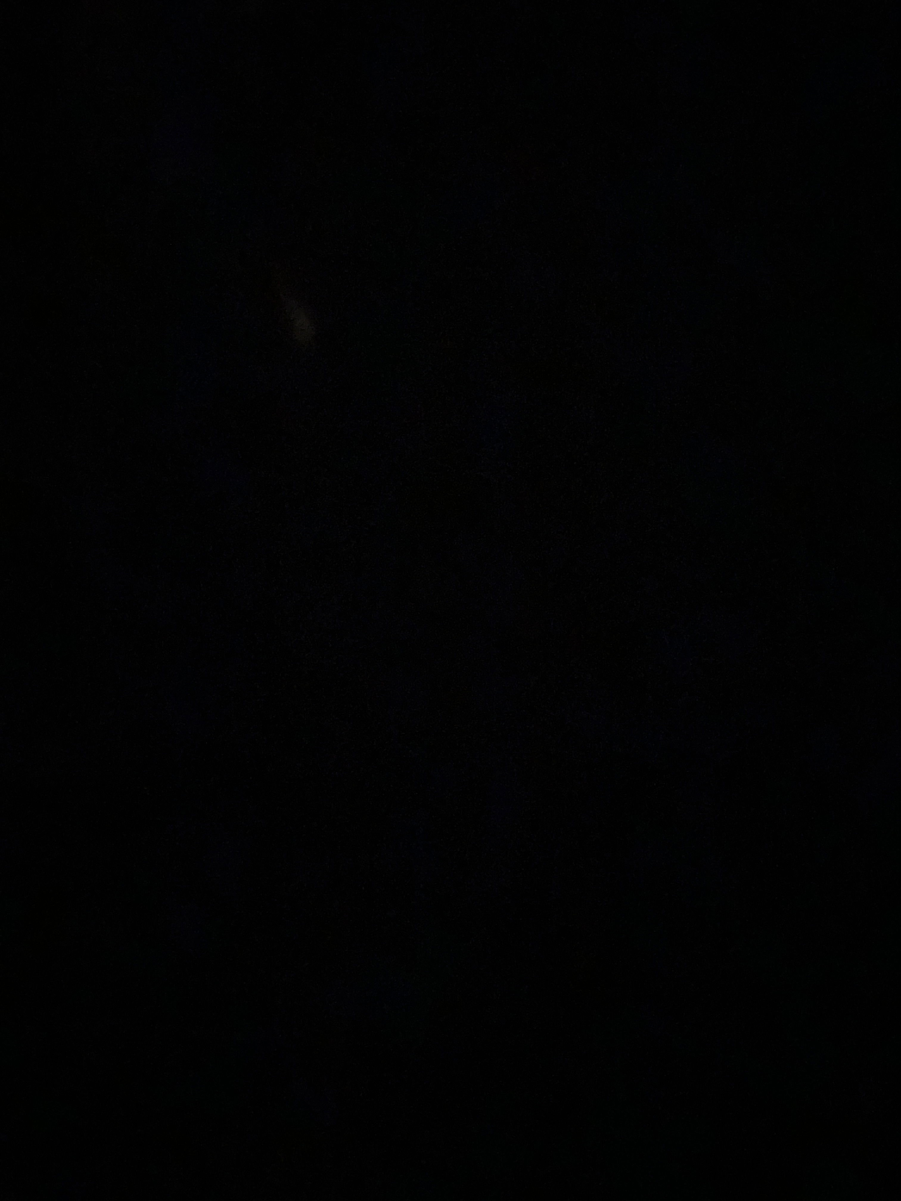 beachnick318's Profile Photo