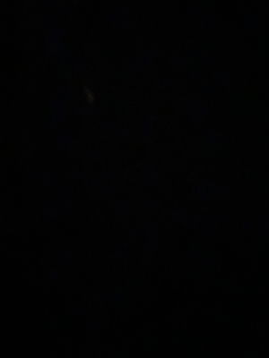 beachnick318's Profile Photo