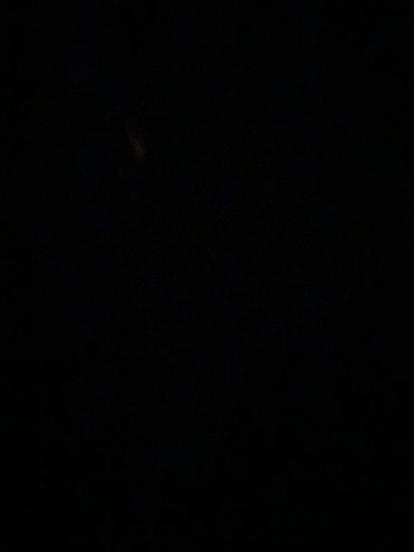 beachnick318, 20 years old from United States