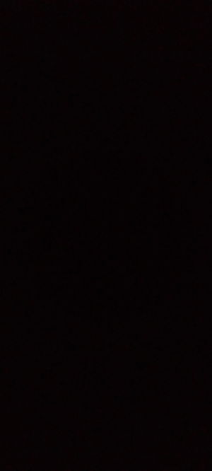 dorywary's Profile Photo