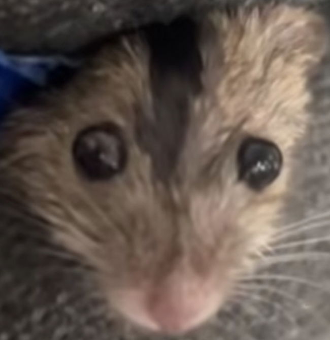 vladdy420's Cover Photo