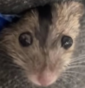 vladdy420's Profile Photo