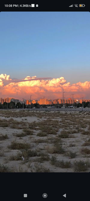 neva6967's Profile Photo