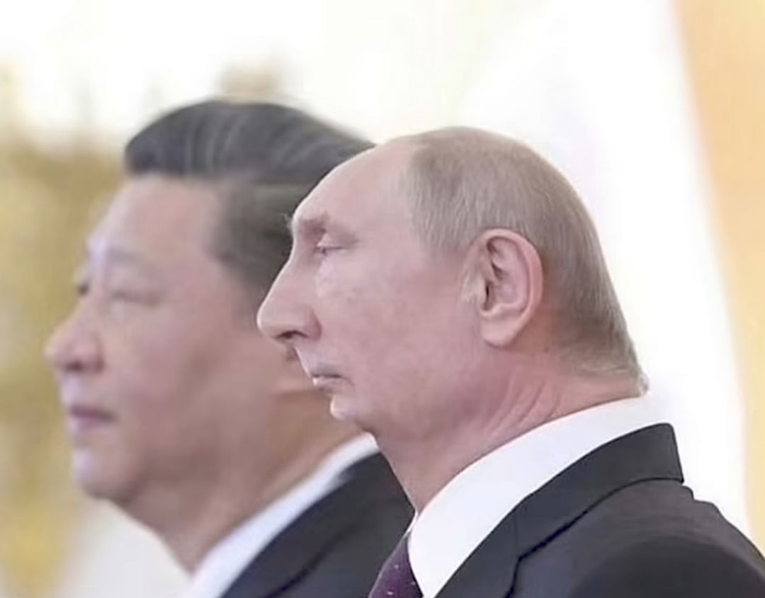 samurai-jack909's Profile Photo