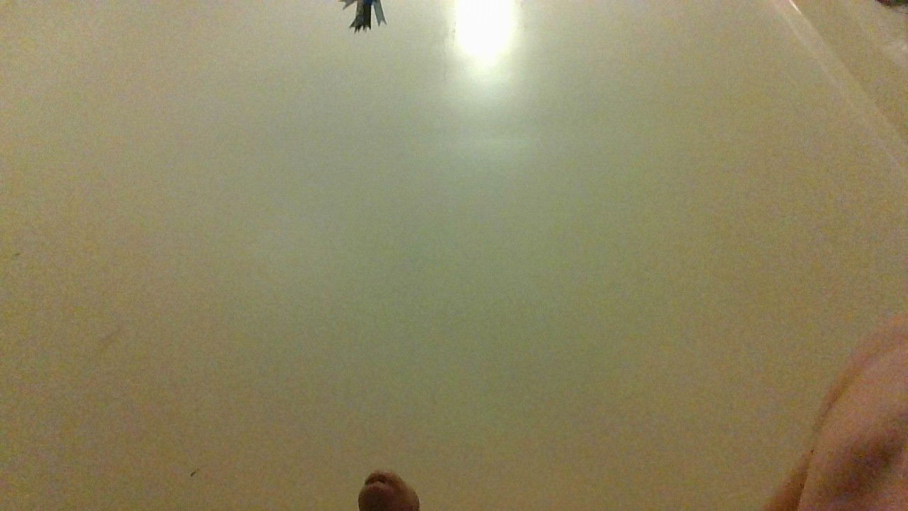 josh388042's Profile Photo