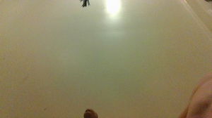 josh388042's Profile Photo