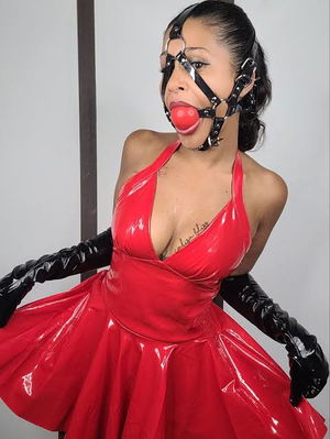 gfkfeir041's Profile Photo