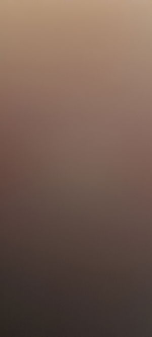 Timian's Profile Photo