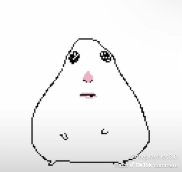 miller, 18 years old from United States