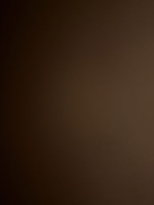 stockekmax's Profile Photo