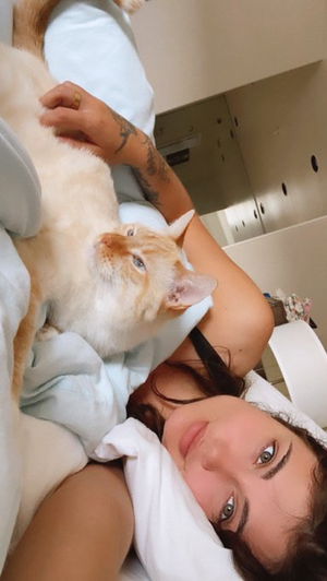 yvbgulll's Profile Photo