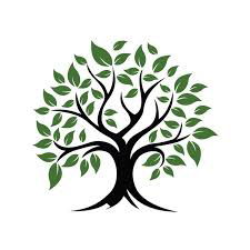 stevesock12, 18 years old from Ireland