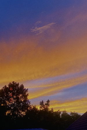 dartmert463's Profile Photo